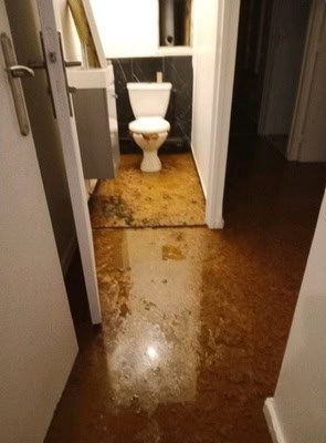 Débordement des toilettes à cause d'un problème de canalisations à Massy
