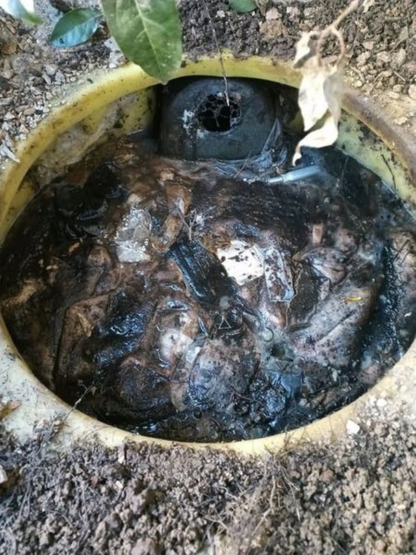 Déchets dans une canalisation bouchée