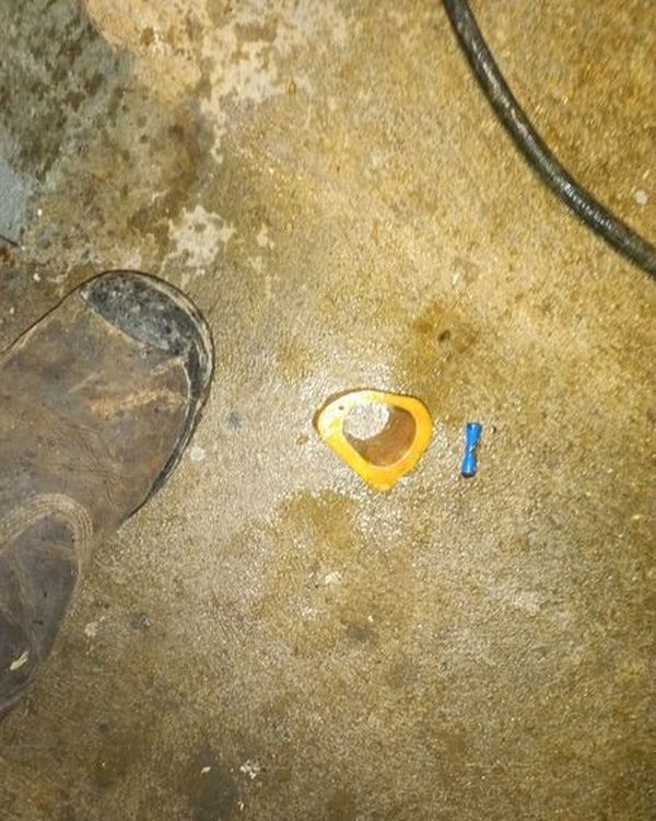 Os à moelle évacué d'une canalisation bouchée