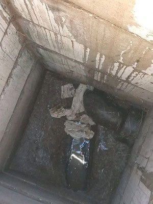 Graisse et déchets dans les canalisations