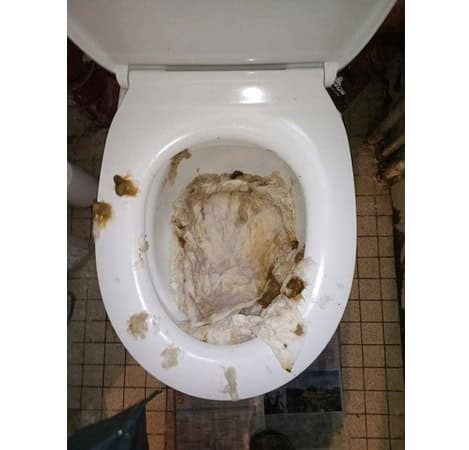 Refoulement des eaux usées dans des WC à cause d'un bouchon de lingettes