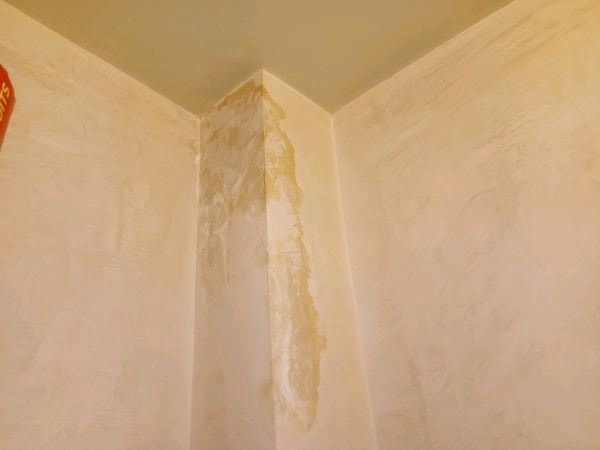 Traces d'humidité infiltration mur appartement