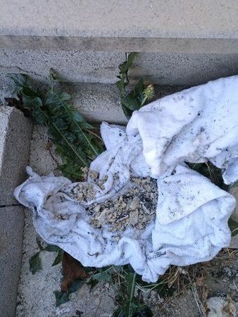 Détritus retirés après entretien d'une pompe de relevage