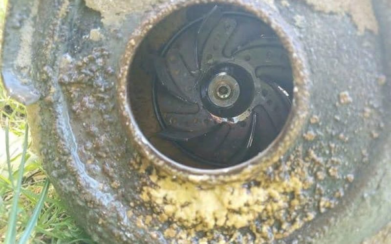 Hélice d'une pompe de relevage
